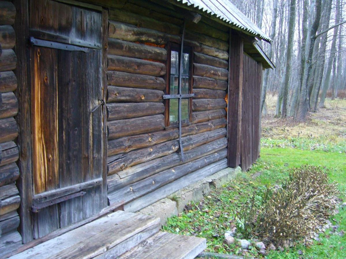 Apartment Ezerzemes 2 Kusneri